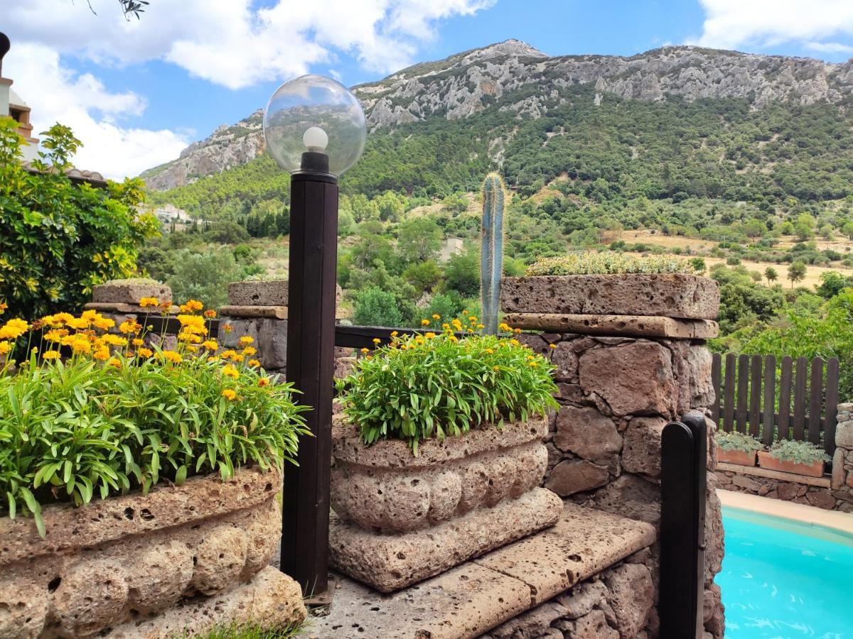 Casa Bados Βίλα Dorgali Εξωτερικό φωτογραφία