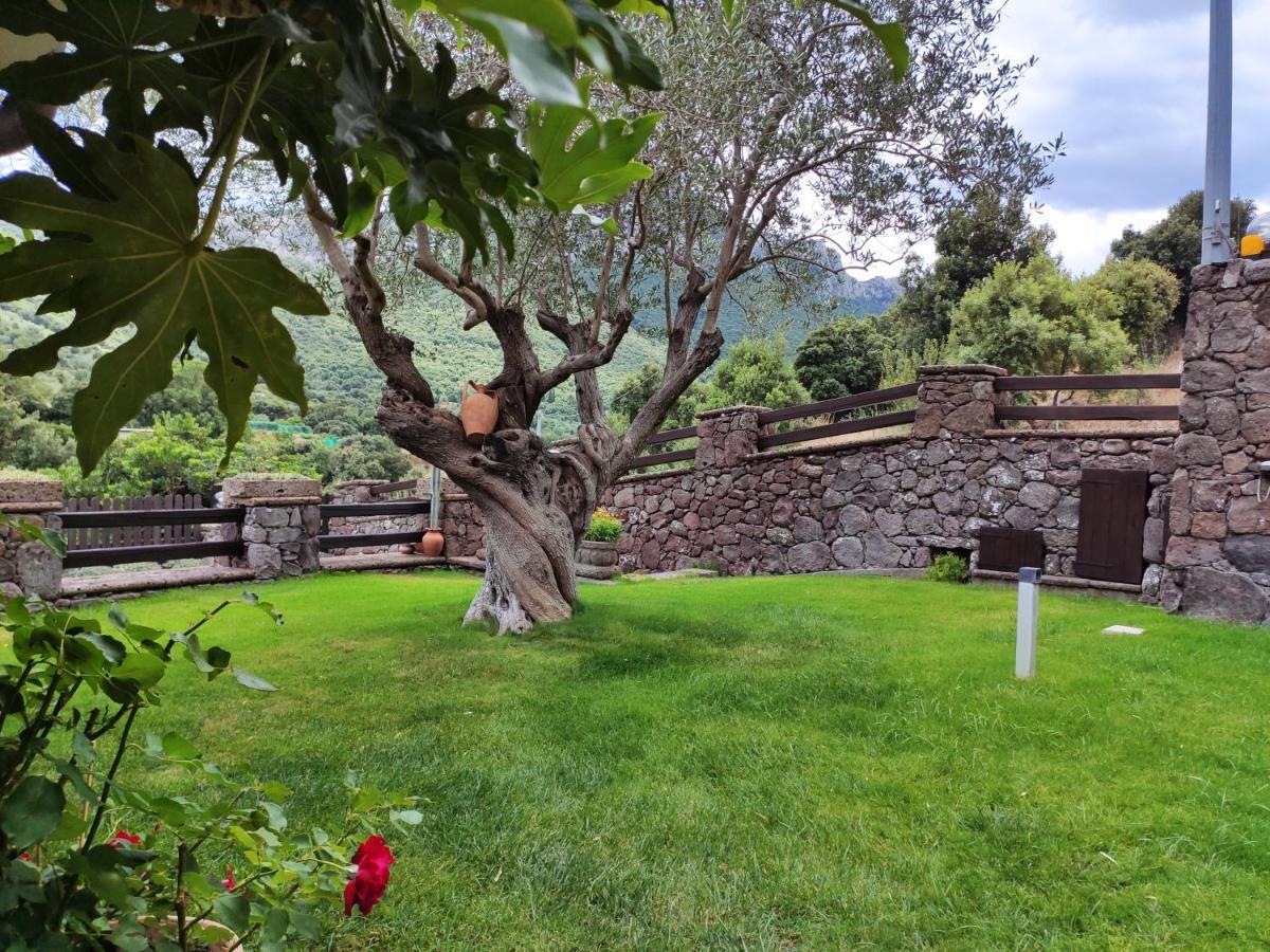 Casa Bados Βίλα Dorgali Εξωτερικό φωτογραφία